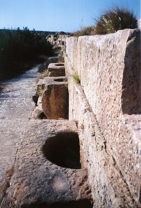 Image16